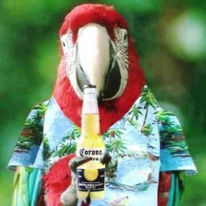 Found on jimsulliv3.blogspot.com