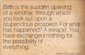 Birth Is The Sudden Opening Of A Window, Through Which You Look Out ...