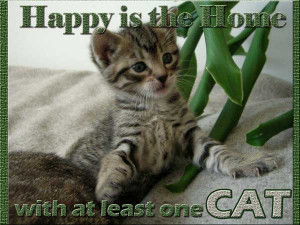 Happy is the home with at least one cat.