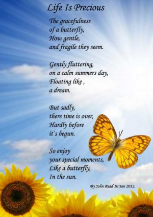 ... it s begun so enjoy your special moments like a butterfly in the sun