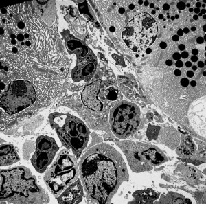 long hair quotes. long hair quotes. quotes