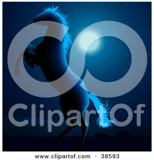 ... White-Horse-Silhouetted-In-Blue-Moon-Light-Rearing-Up-In-The-Night.jpg