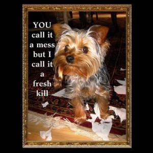 Uploaded to Pinterest