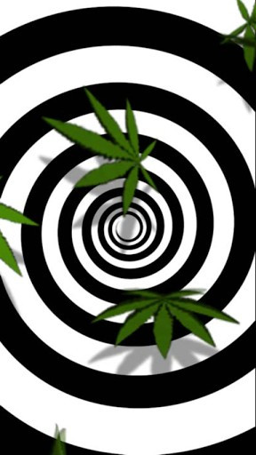 Funny Quotes Contact Us DMCA Notice