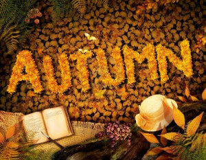 14982538-autumn-season-concept-design-fall-background-with-text-in ...