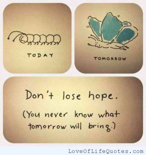 ... lose hope never lose hope never lose hope choose me or lose me no i