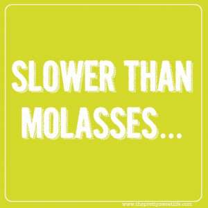 Southern Belle Quotes | ... to an even slower pace than the usual ...
