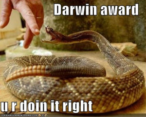 funny pictures darwin award snake Funny Sayings About Snake Pictures