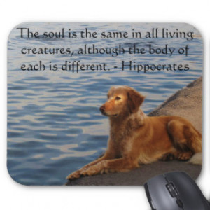 Animal Quotes Mouse Pads