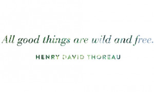 Found on waterproofvalentines.tumblr.com