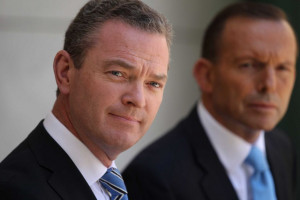 Christopher Pyne has hefty measures of determination, cunning and self ...