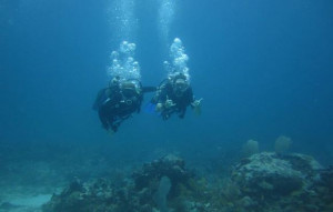 Book Your Dive - Review, Compare and Book Your SCUBA Dives