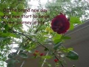 ... New Day And New Start To Begin A New Journey In Life-Facebook Quote