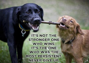 Never Underestimate Someone's Determination.