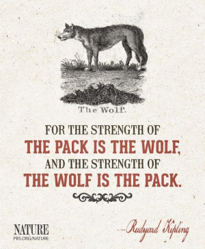wolf quotes about strength lone wolf quote and tumblr lone wolf quotes ...