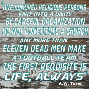 AW QUOTESimage gallery