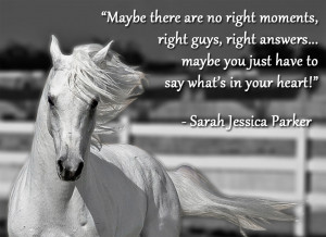 Sarah Jessica Parker Horse