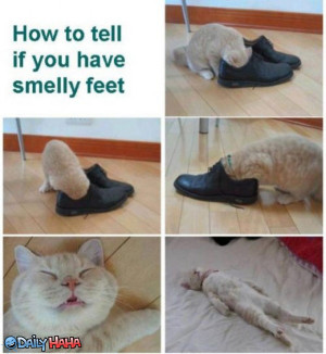 Smelly_Feet_Test