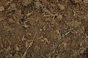 Mud Dirt Background Photograph