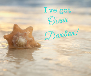 sand dollar art and our most popular pinterest beach sayings