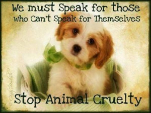 stop animal cruelty