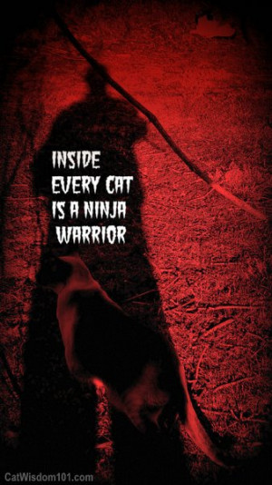 inside-every-cat-is-a ninja-warrior