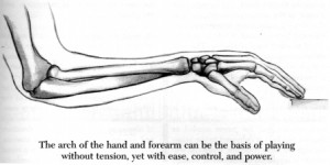 The Arch Structure of the Arm