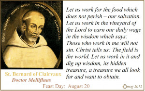 Dh’s saint: St. Bernard of Clairvaux, the Mellifluous Doctor of the ...