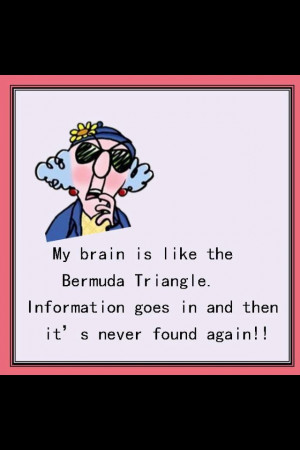 My brain sings the pea brain overload blues song when it is deluged ...