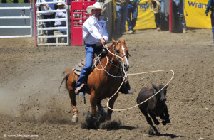 2009 California Rodeo Salinas Photos