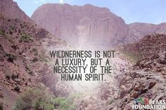 Wilderness is not a luxury, but a necessity of the human spirit. # ...