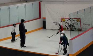 NEW! Radar Slap Shot Ice Hockey Challenge