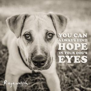 Thoughts for Thursdays by Ragamuffin Pet Photography