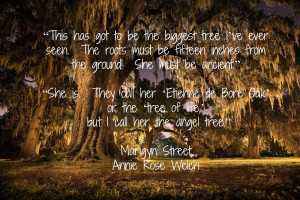 This book enchanted me from the quotes at the beginning. It is ...