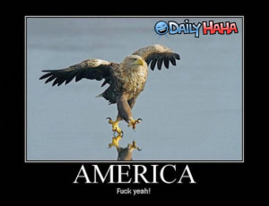 america nothing says america like an eagle strutting his stuff on ...