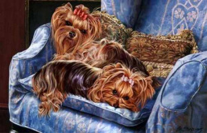 Are we not the sweetest babies you ever did see?