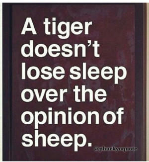 Remember that all you Tigers out there.