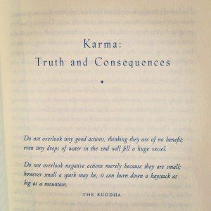 Buddha Quotes On Karma #2