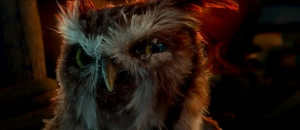 Guardians of Ga’Hoole Wiki Navigation