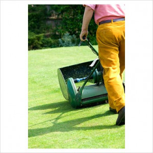 Man Mowing Lawn Stock Photo Man With Lawn Mower In Landscaped