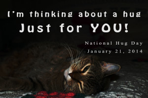 Leave a Reply Cancel reply