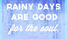 Rain Quotes
