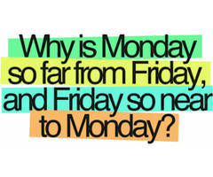 Funny quotes about friday, funny quote of the day