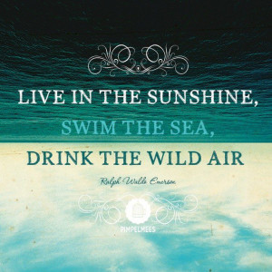 Ralph waldo emerson, quotes, sayings, positive, best, life