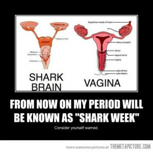 Funny photos funny shark week quote