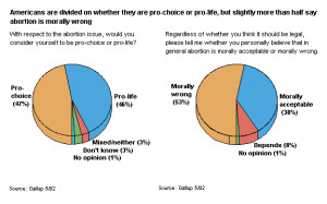 Abortion Visual Aids, Graphs and Charts