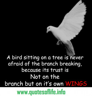 bird-sitting-on-a-tree-is-never-afraid-of-the-branch-breaking ...