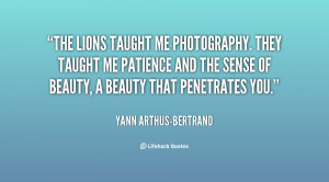 The lions taught me photography. They taught me patience and the sense ...
