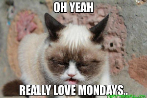 Oh Yeah really Love Mondays.. - Grumpy Cat Is Grumpy
