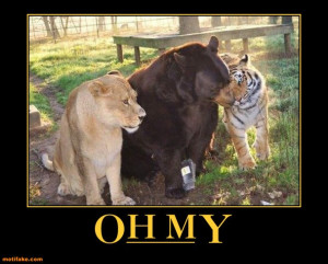 wizard-of-oz-lions-and-tigers-and-bears-demotivational-posters ...